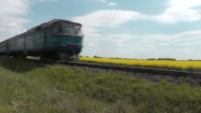 Naked in public. Mature woman without panties poses near train. Piss public