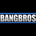avatar for Bang Bros Network