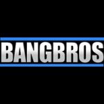 Bang Bros Network