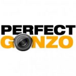 avatar for Perfect Gonzo